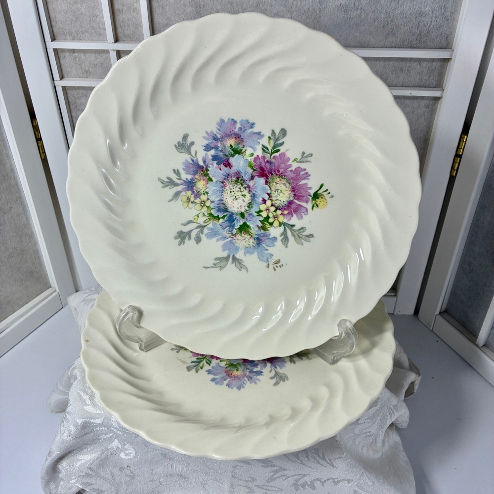 VTG Royal China Sebring Union Ware Honey Lee Floral Swirl Dinner Plates Set 2